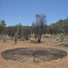 alice springs/australia